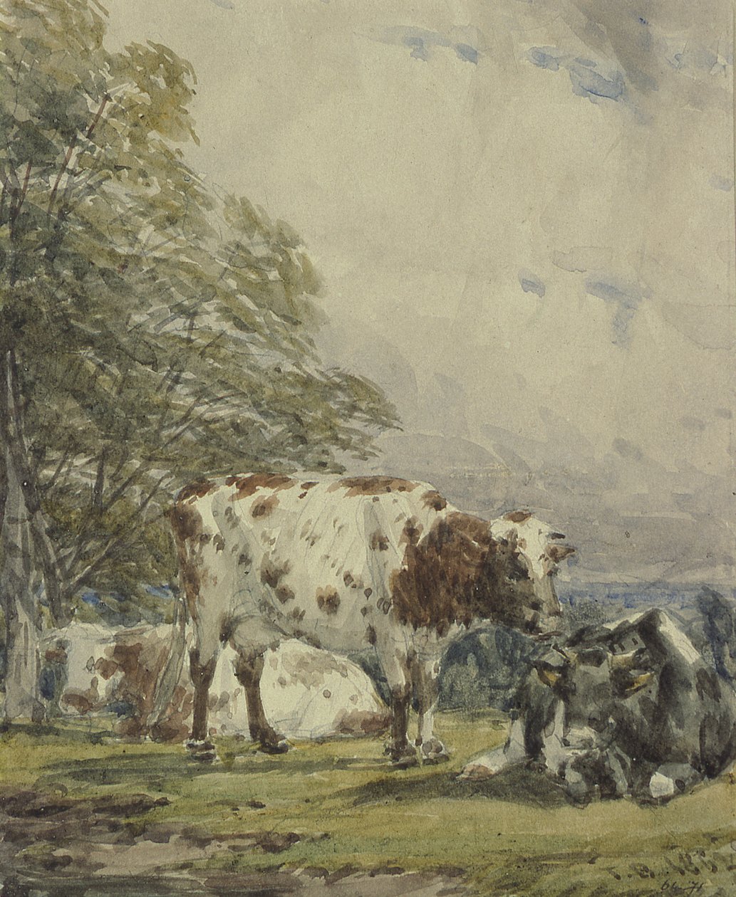 En studie av boskap, 1800-talet av Thomas Baker