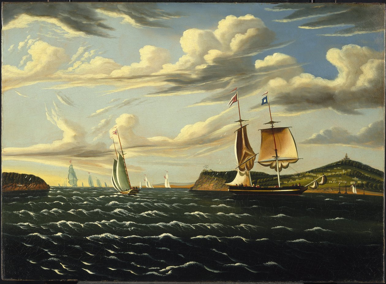 Staten Island och The Narrows av Thomas Chambers