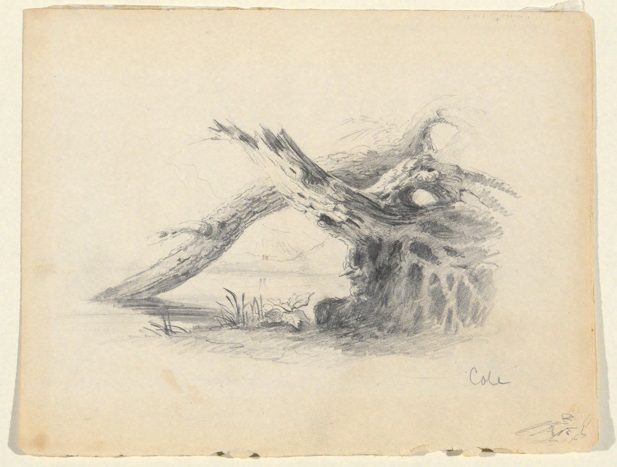 Skiss av två döda träd av Thomas Cole