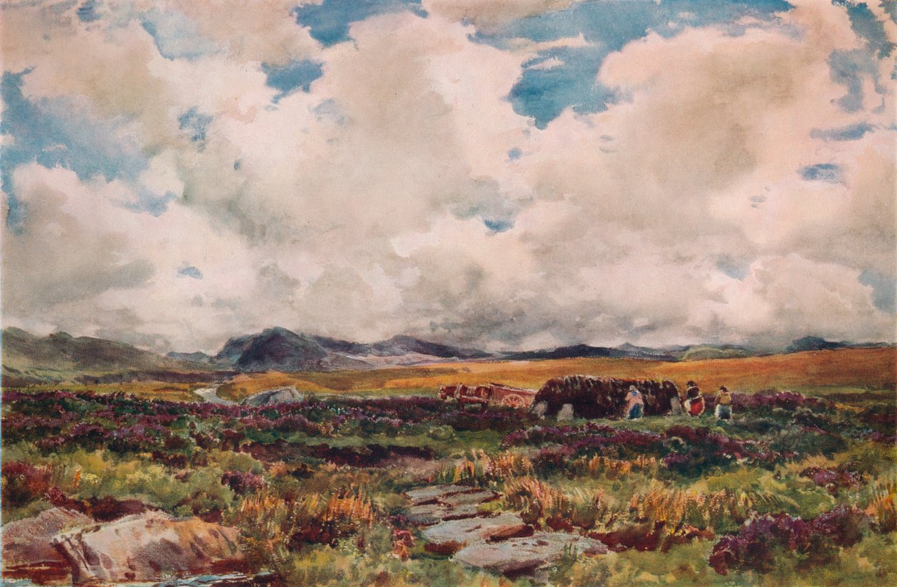 Stacking torv, Festiniog, North Wales, 1881 av Thomas Collier