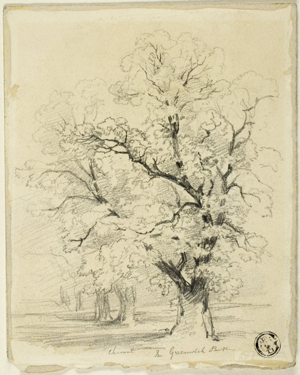 Ches[t]nut i Greenwich Park av Thomas Creswick