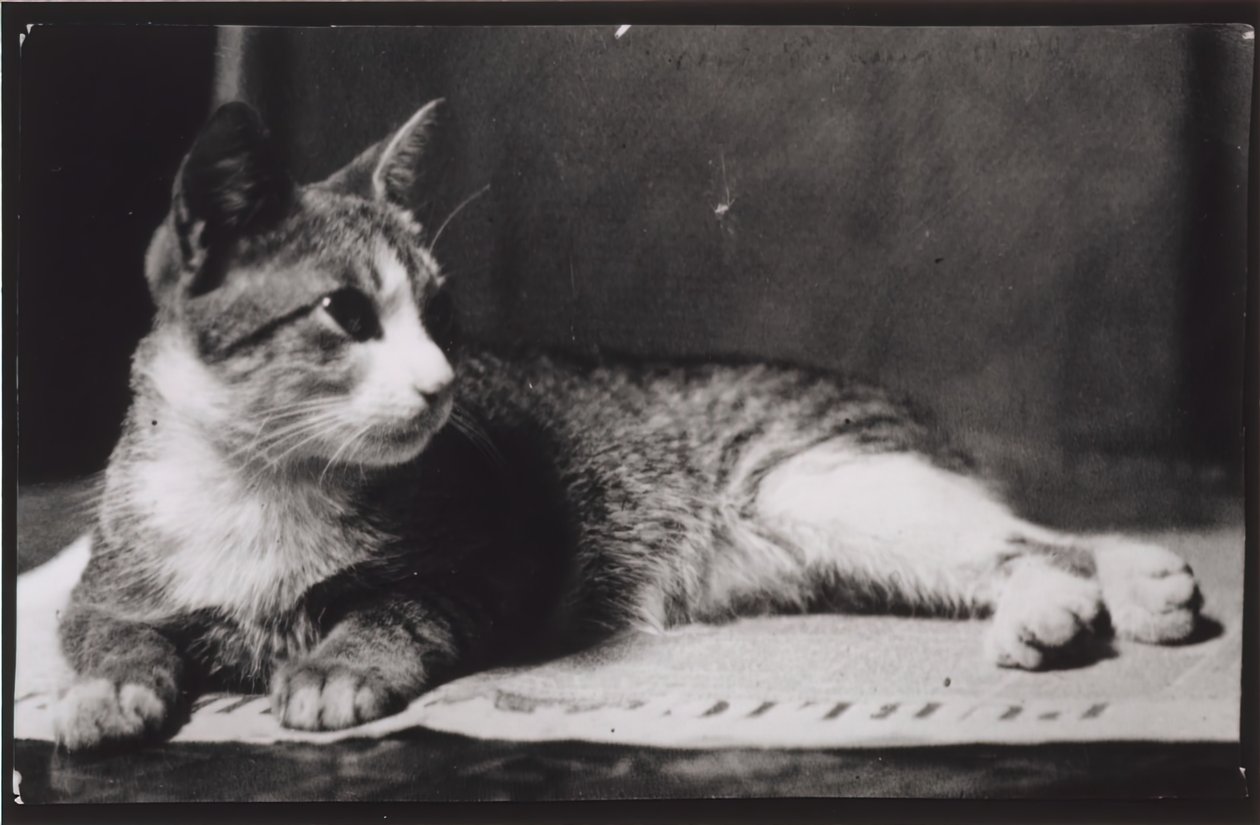 Mrs. Thomas Eakins