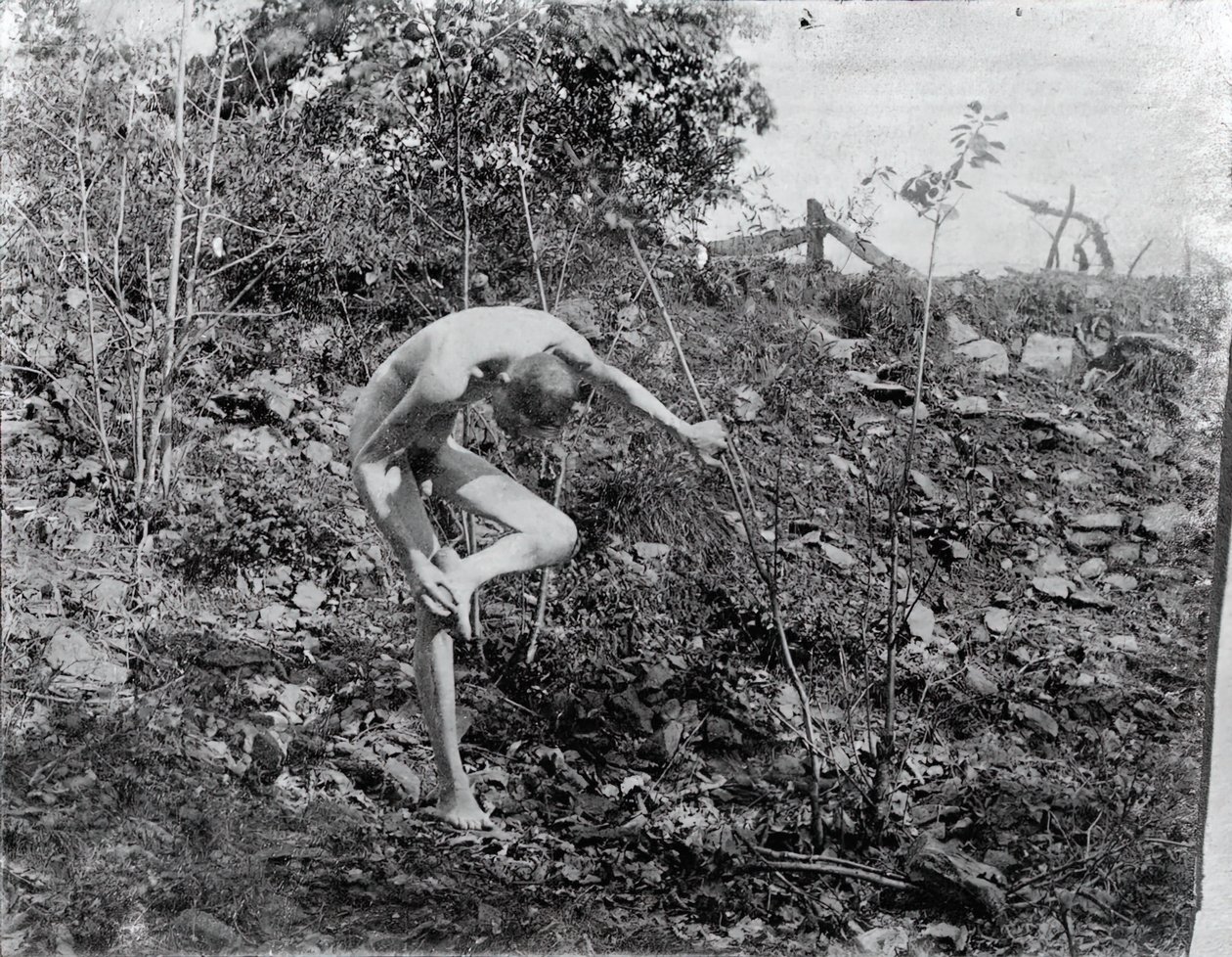 Thorn Puller, ca. 1883. av Thomas Eakins
