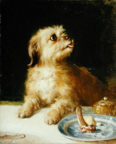 Norfolk terrier av Thomas Earl