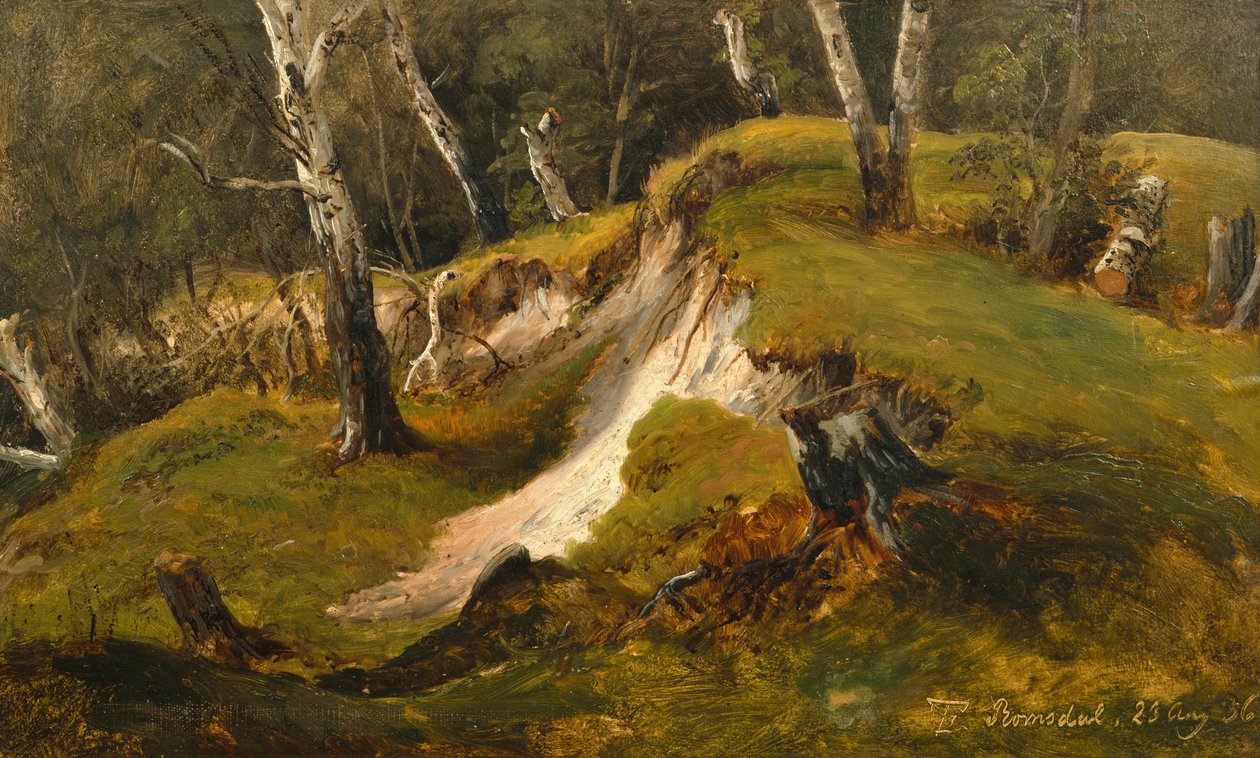 Birck stocks in Romsdal av Thomas Fearnley