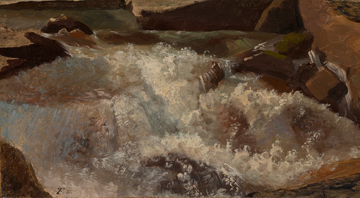 Vilda vatten. naturstudie av Thomas Fearnley