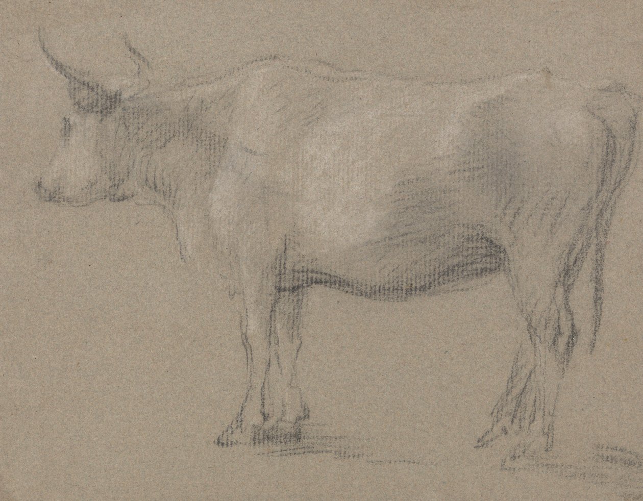 Studie av en ko av Thomas Gainsborough
