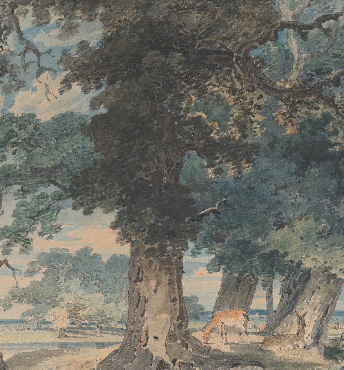 Rådjur i Windsor Forest, 1793-94. av Thomas Girtin