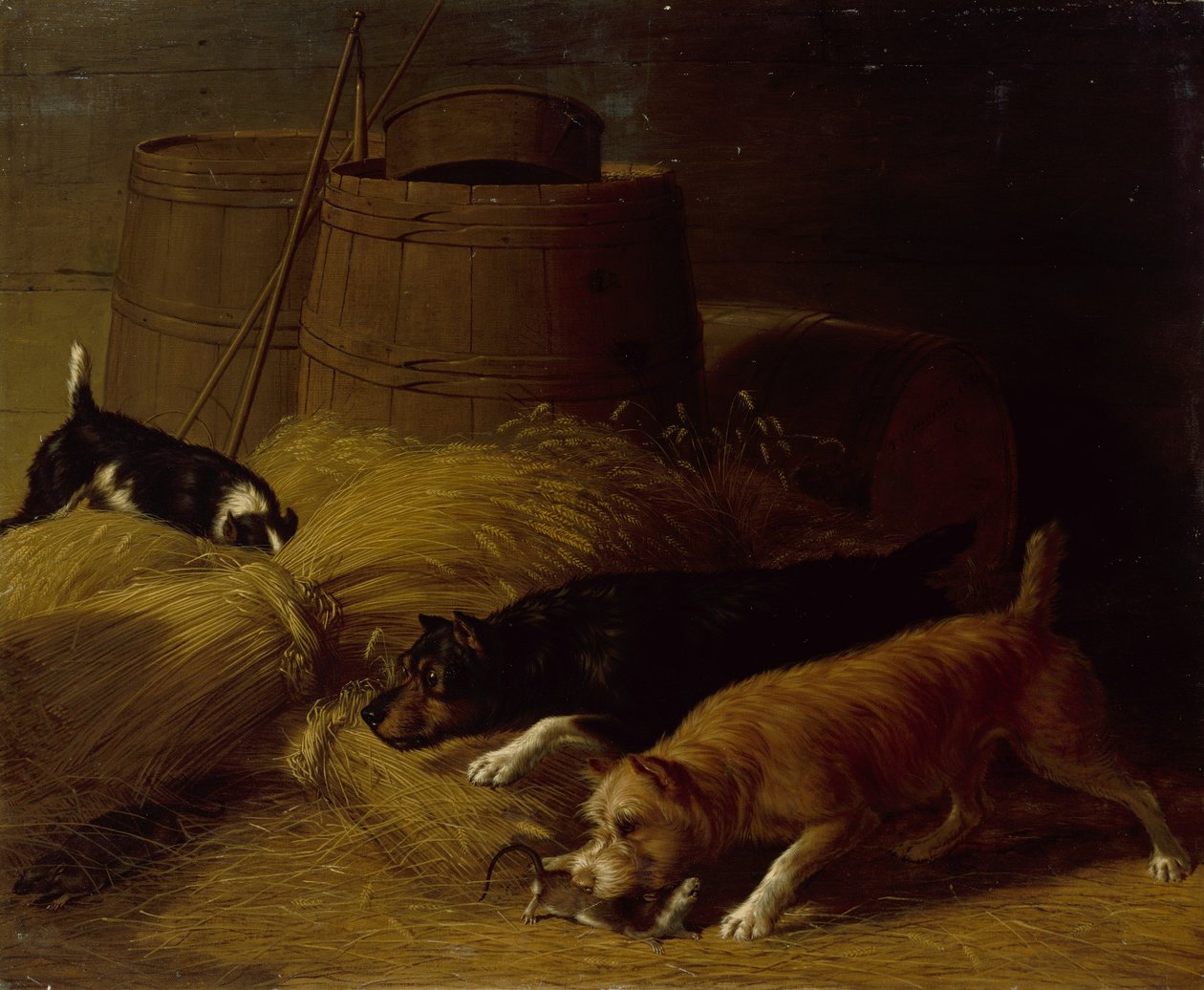 Råttor bland kornkärvarna, 1851. av Thomas Hewes Hinckley