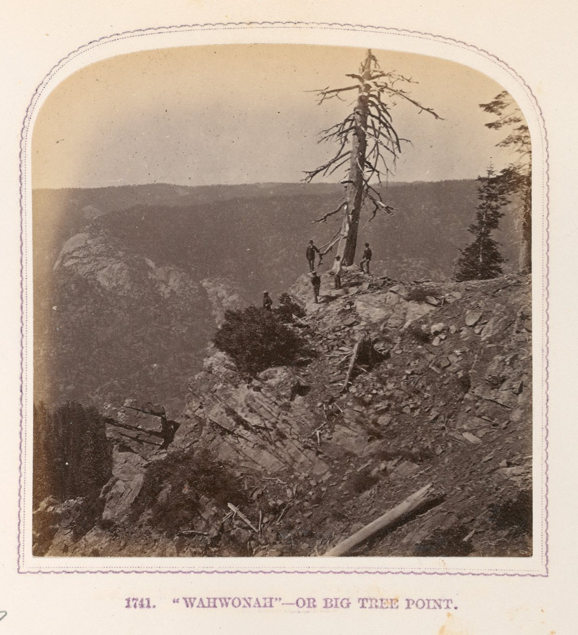 "Wahwonah" - eller Big Tree Point av Thomas Houseworth