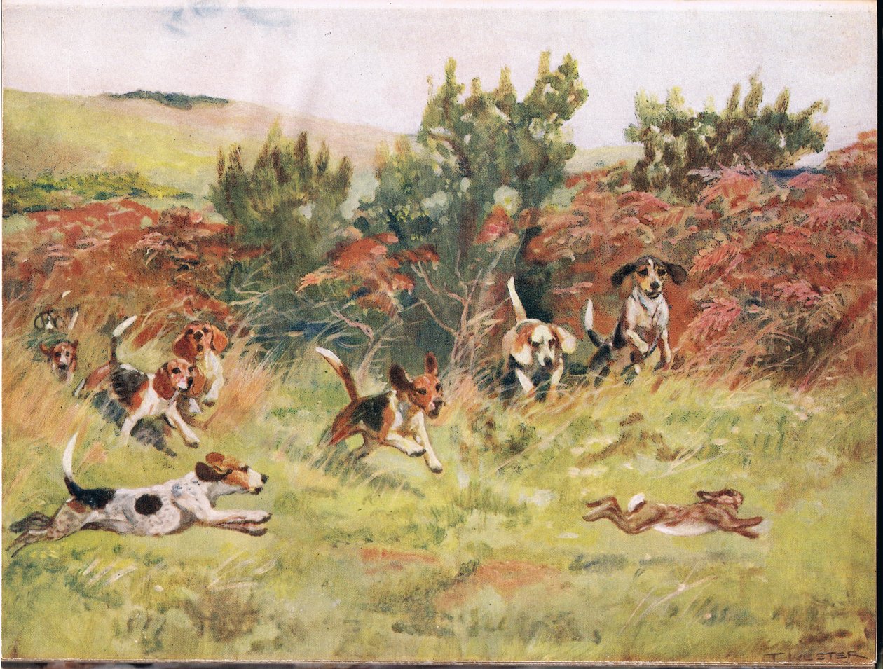 Jagar en hare, illustration från "Hounds" av Thomas Ivester Lloyd