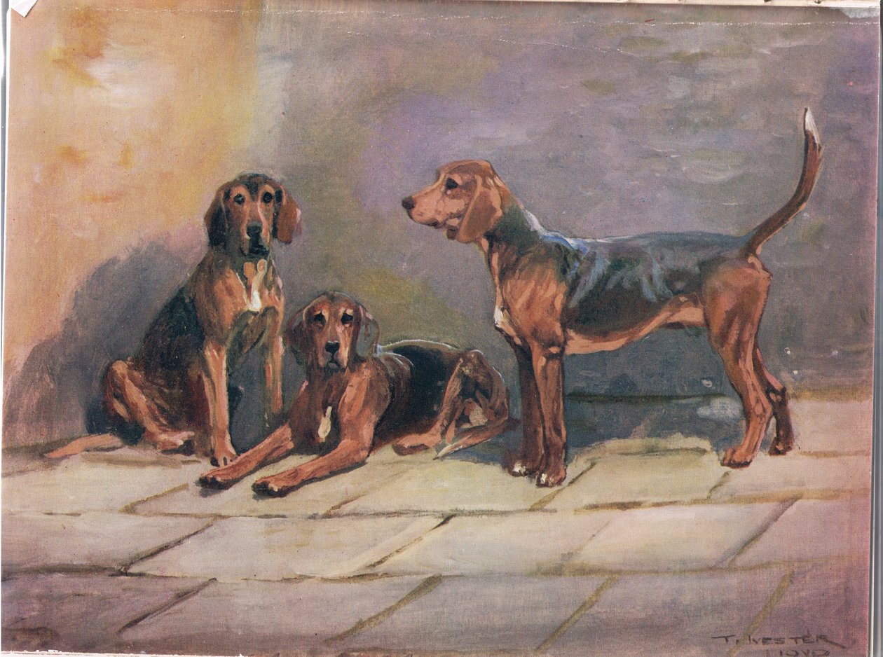 Hundar, illustration från "Hounds" av Thomas Ivester Lloyd