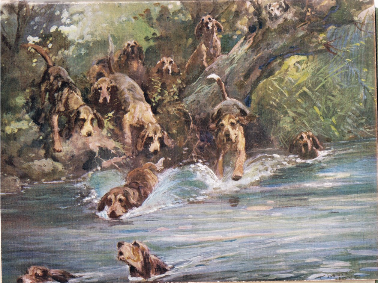 Into the River, illustration från "Hounds" av Thomas Ivester Lloyd