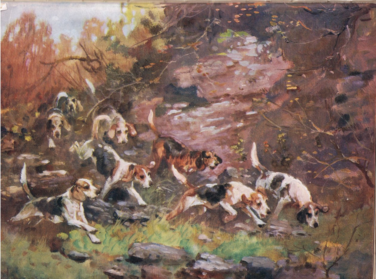 Through the Undergrowth, illustration från "Hounds" av Thomas Ivester Lloyd