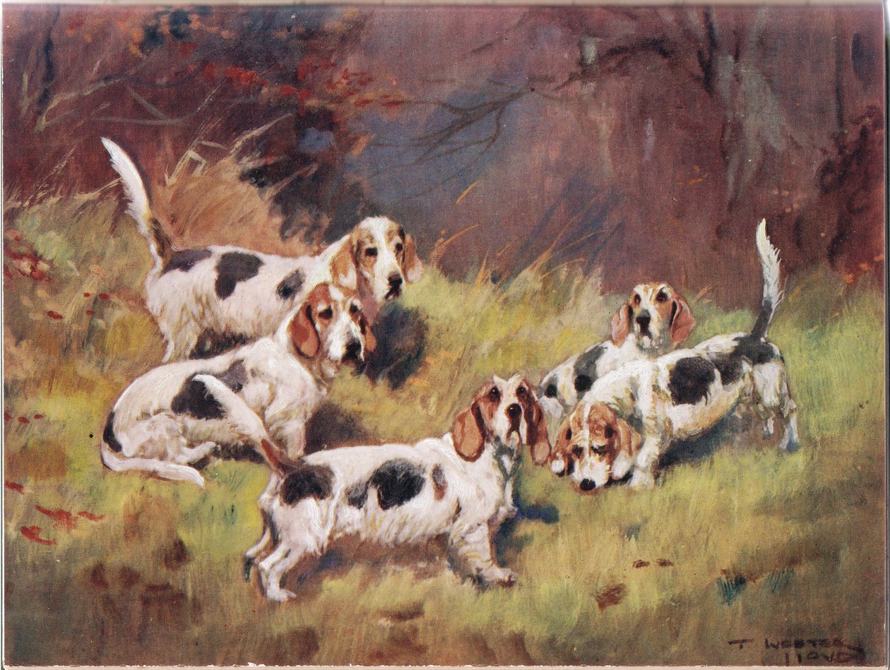 Väntar, illustration från "Hounds" av Thomas Ivester Lloyd
