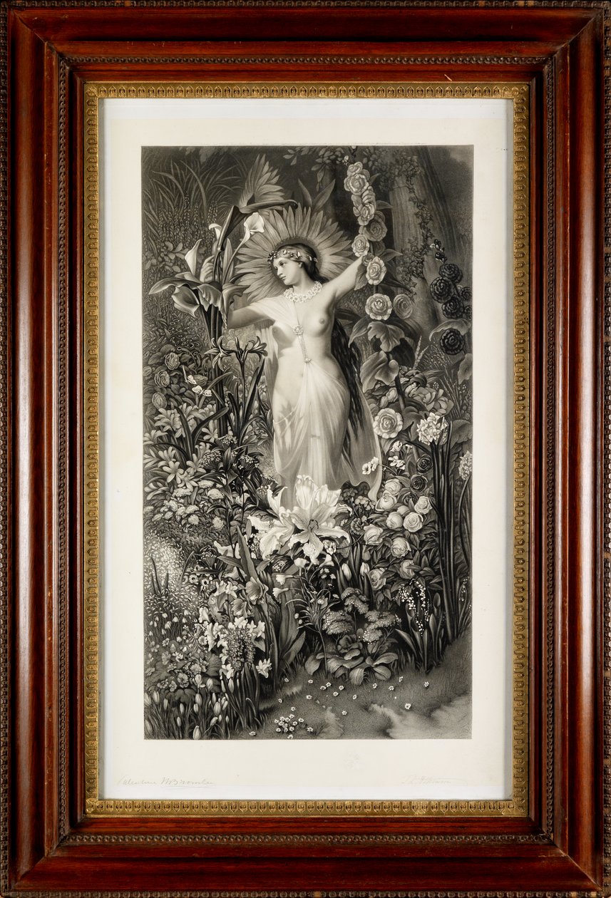 Flora (engraving) av Thomas Lewis Atkinson