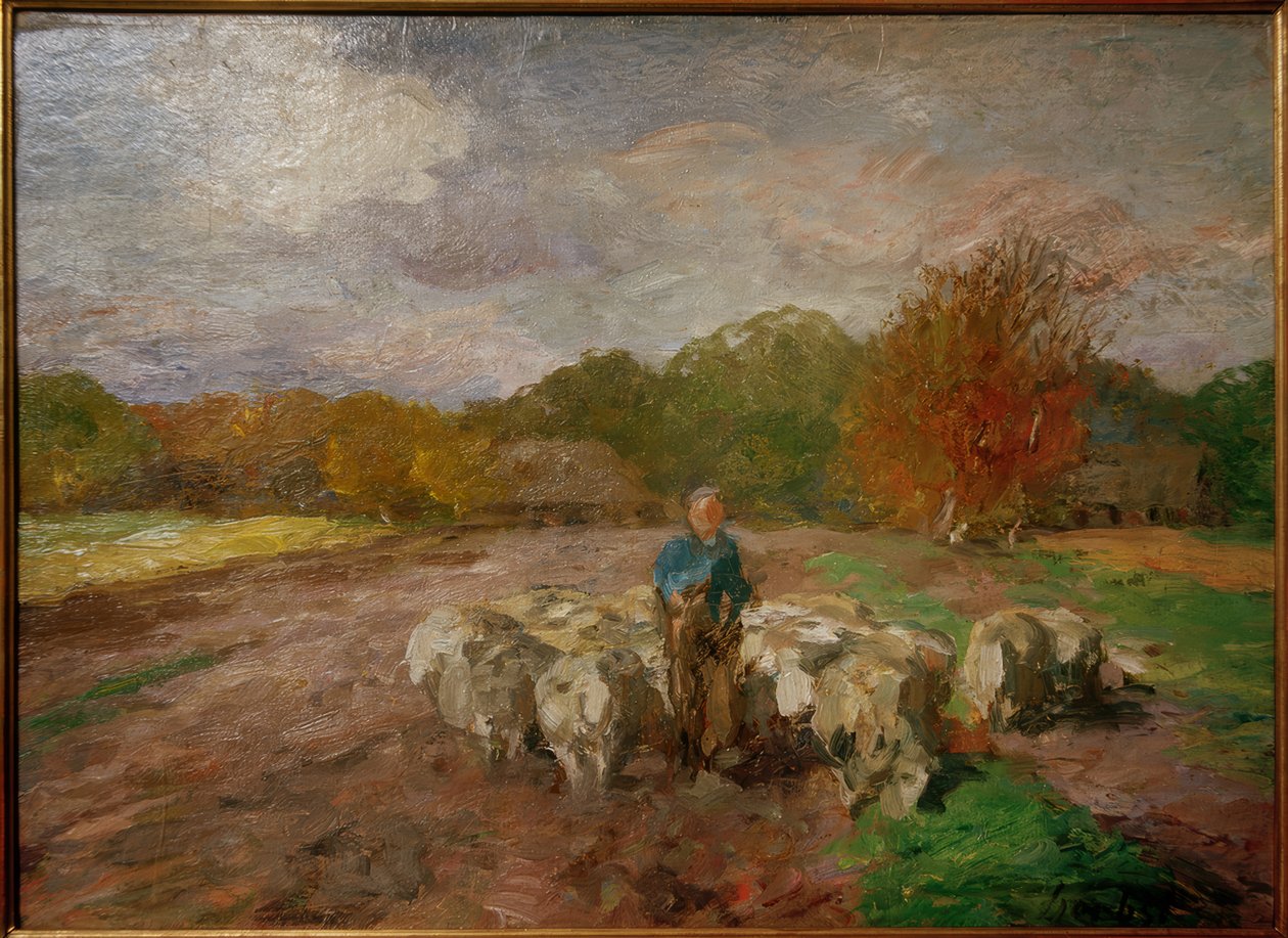 Flock får i solljuset av Thomas Ludwig Herbst