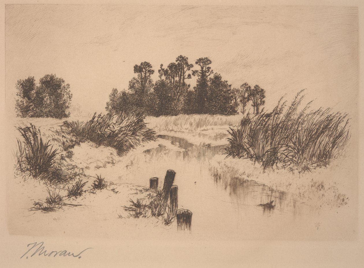Passaic Meadows (i Newark Meadows) av Thomas Moran