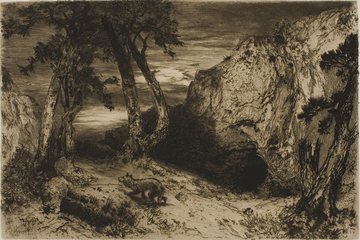 The Coyote - Arizona av Thomas Moran