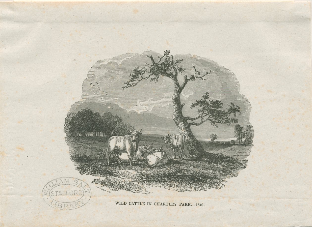 Chartley Hall - Park: träsnittsgravyr av Thomas Peploe Wood