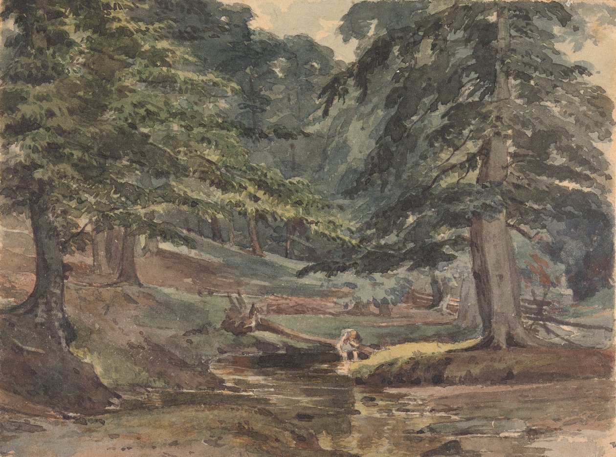 Skogbevuxen flodscen av Thomas Sully