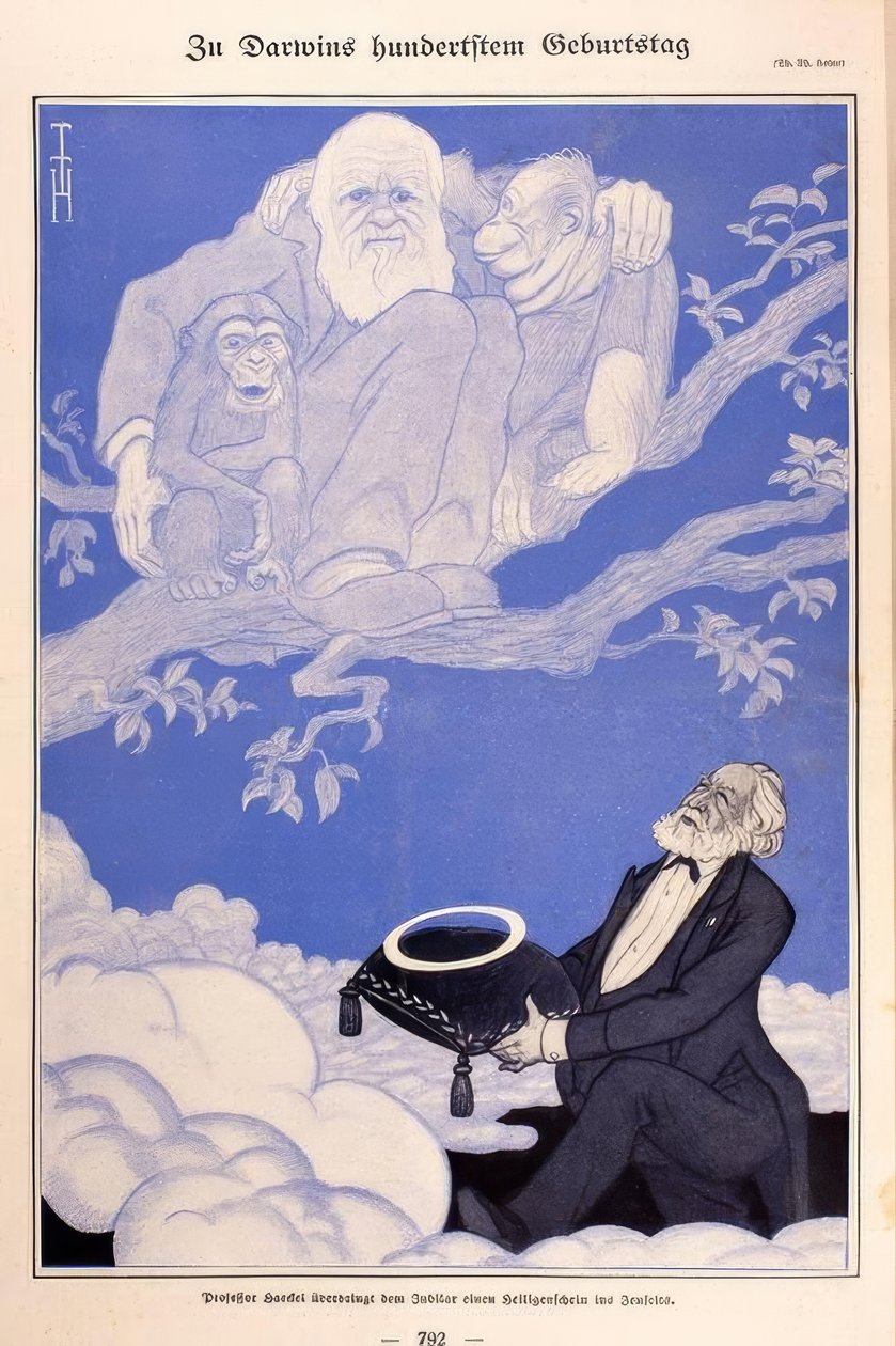1909 karikatyr Darwin, Apes, Haeckel av Thomas Theodor Heine