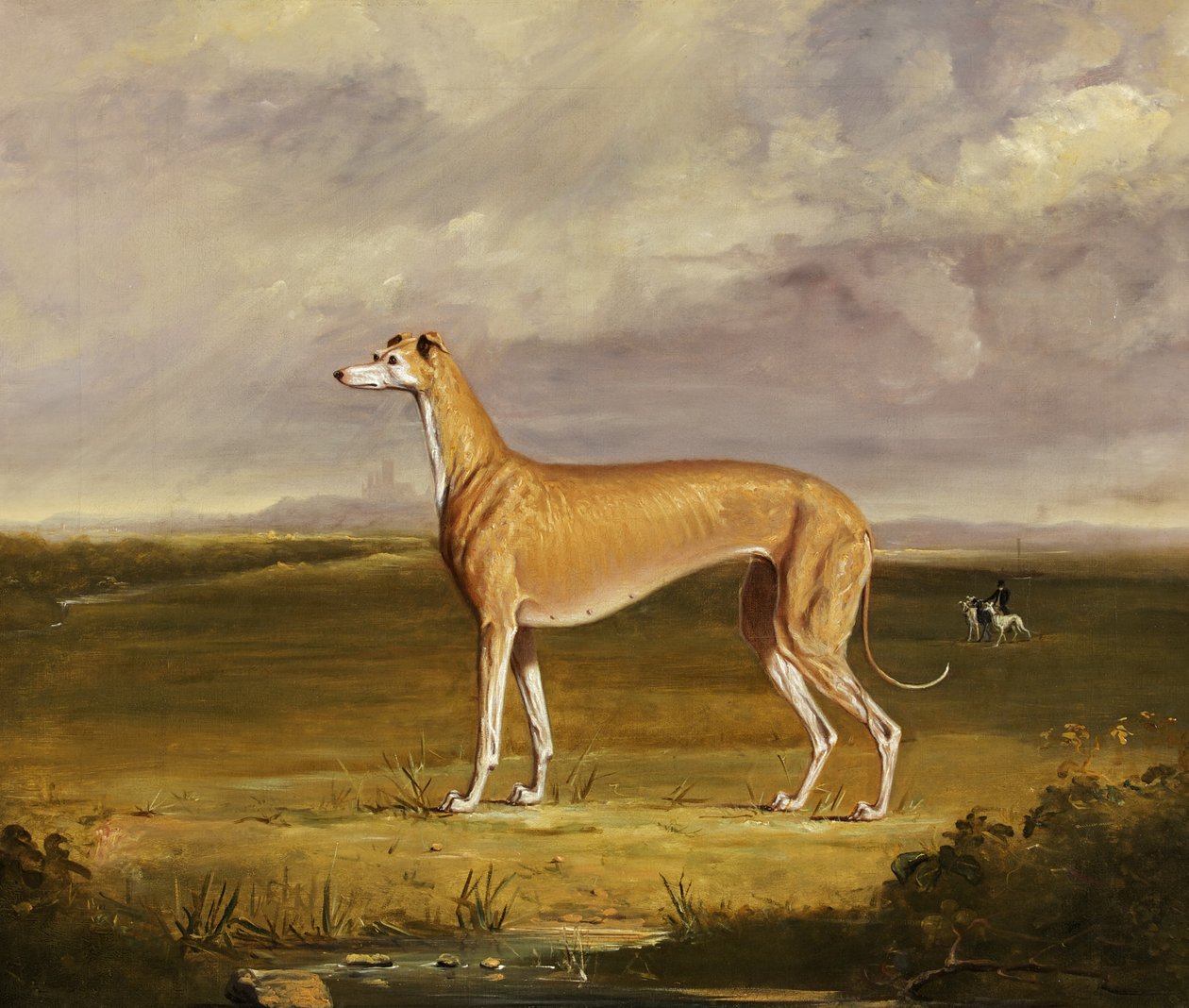 The Greyhound, ca 1830 (olja på duk) av Thomas W. Bretland