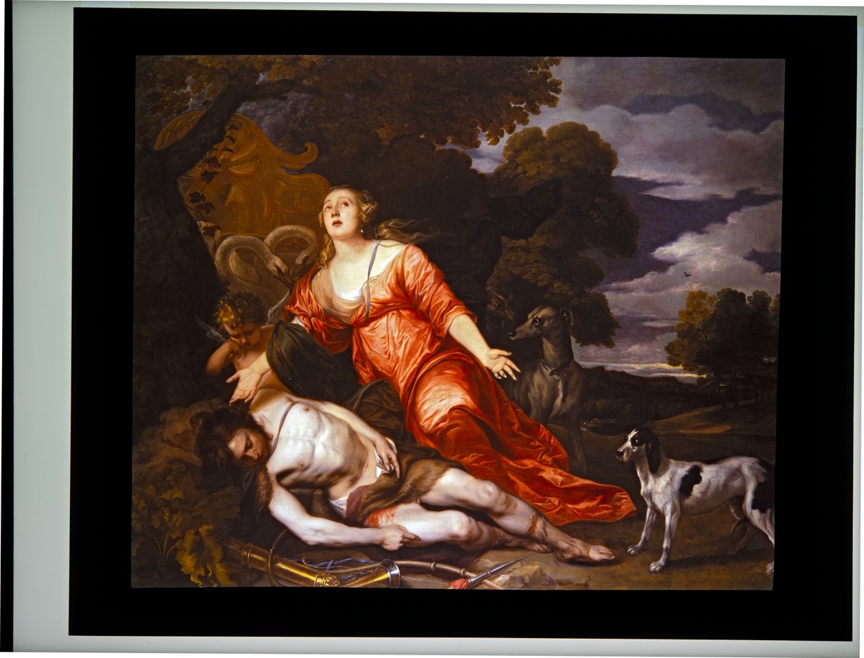 Adonis död av Thomas Willeboirts Bosschaert