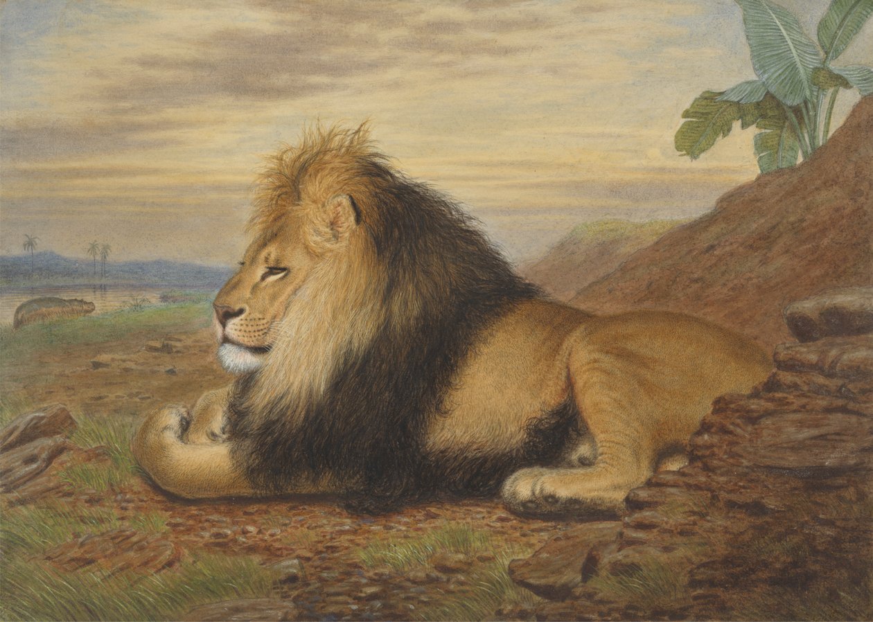 Ett lejon av Thomas William Wood