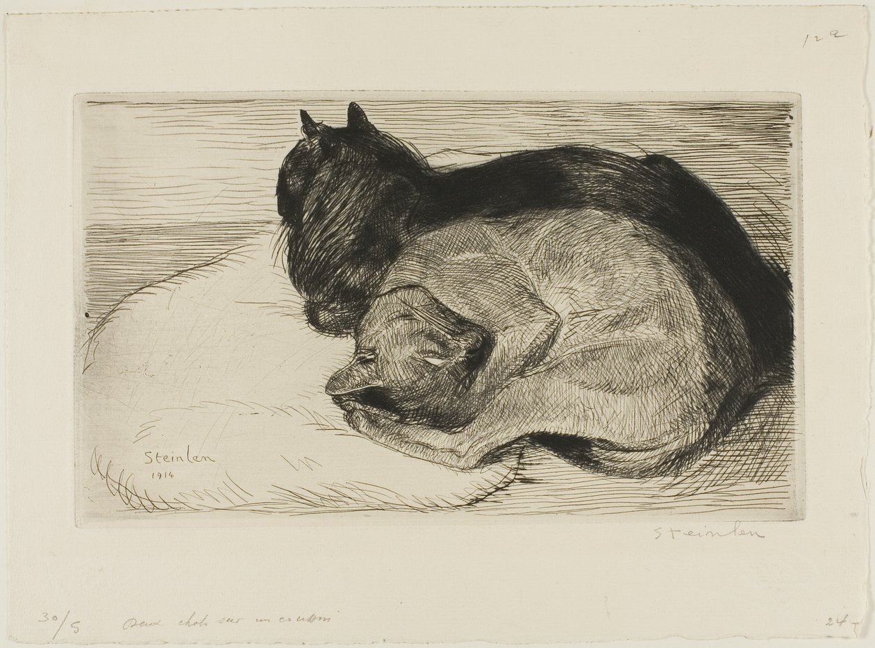 Två katter på en kudde av Théophile Alexandre Pierre Steinlen