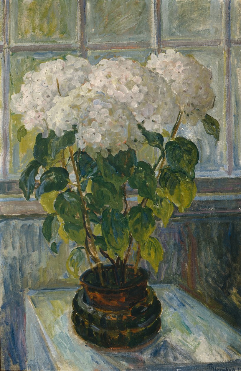 Hortensia av Thorolf Holmboe
