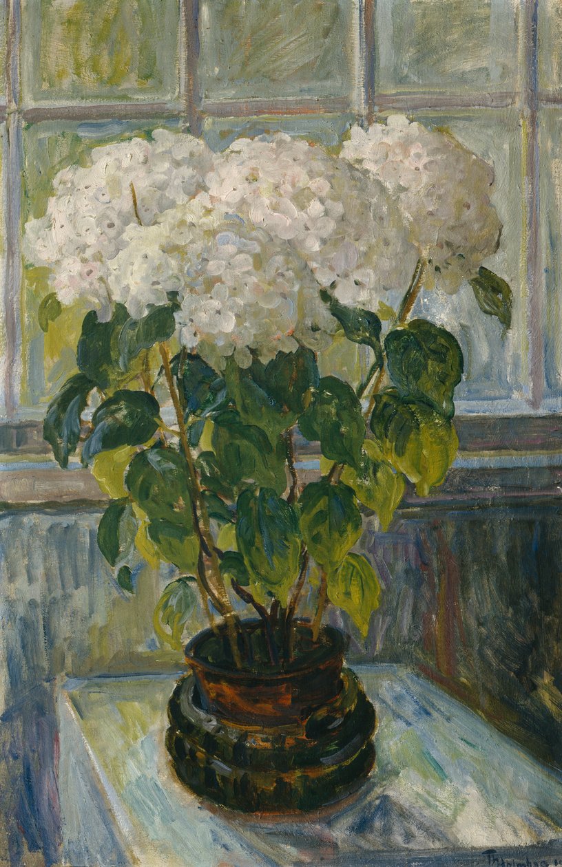 Hortensia av Thorolf Holmboe