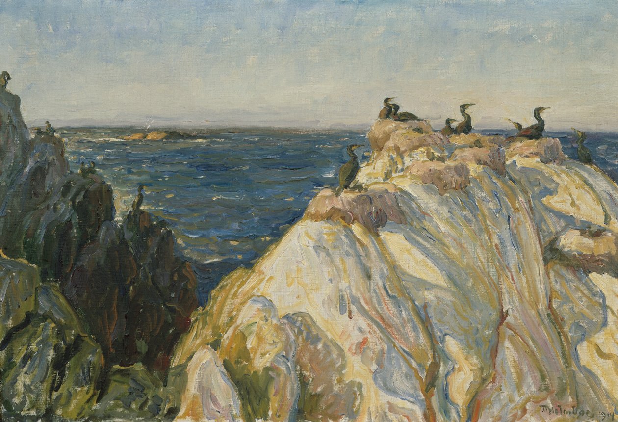 Sjöfågel av Thorolf Holmboe
