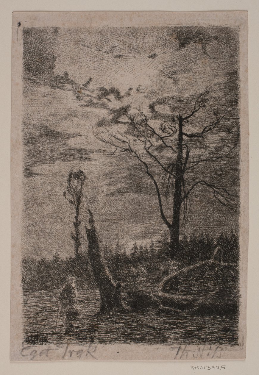 Avskogning. Kväll av Thorvald Niss