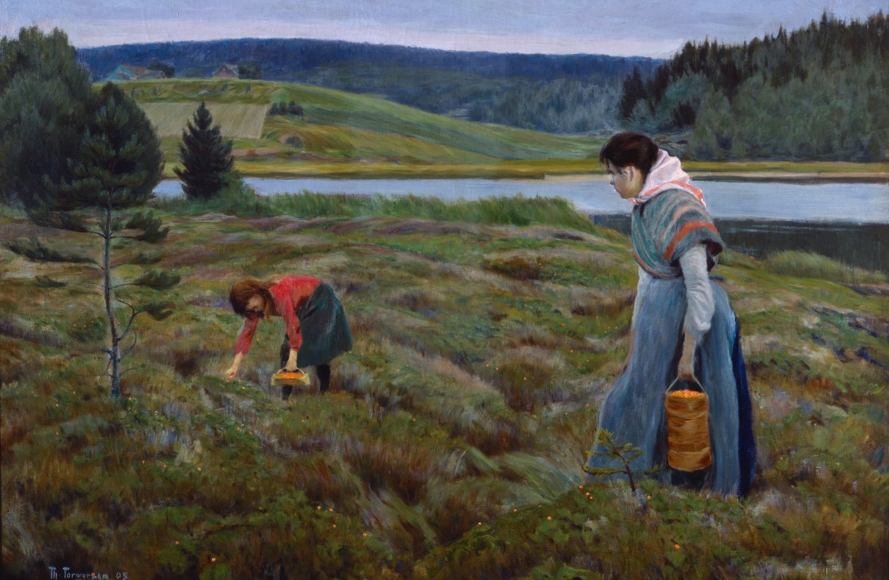 Plockar hjortron av Thorvald Torgersen