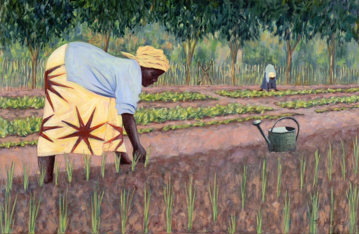 Plantera lök, 2005 av Tilly Willis