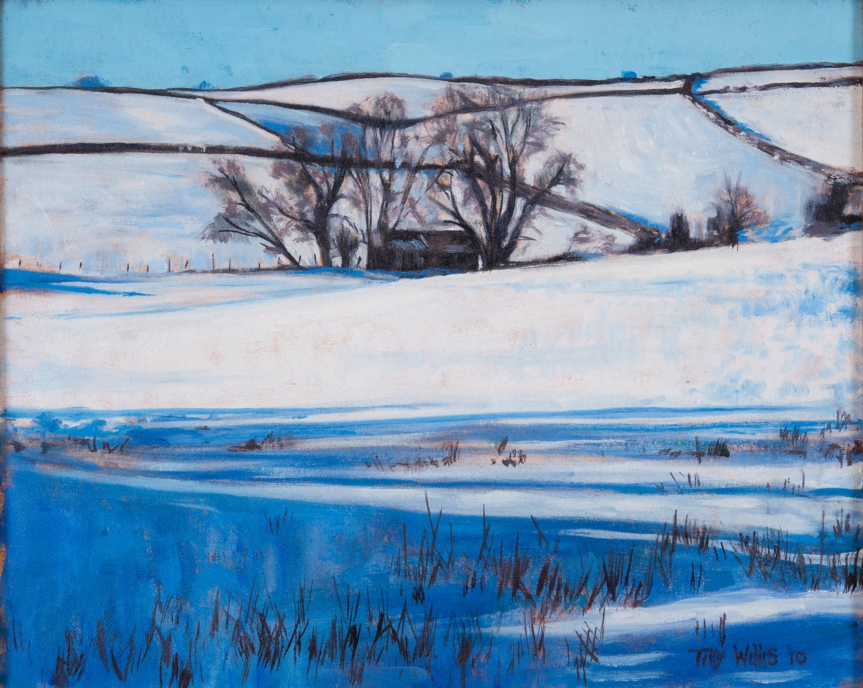 Snow Shadows, 2010 av Tilly Willis