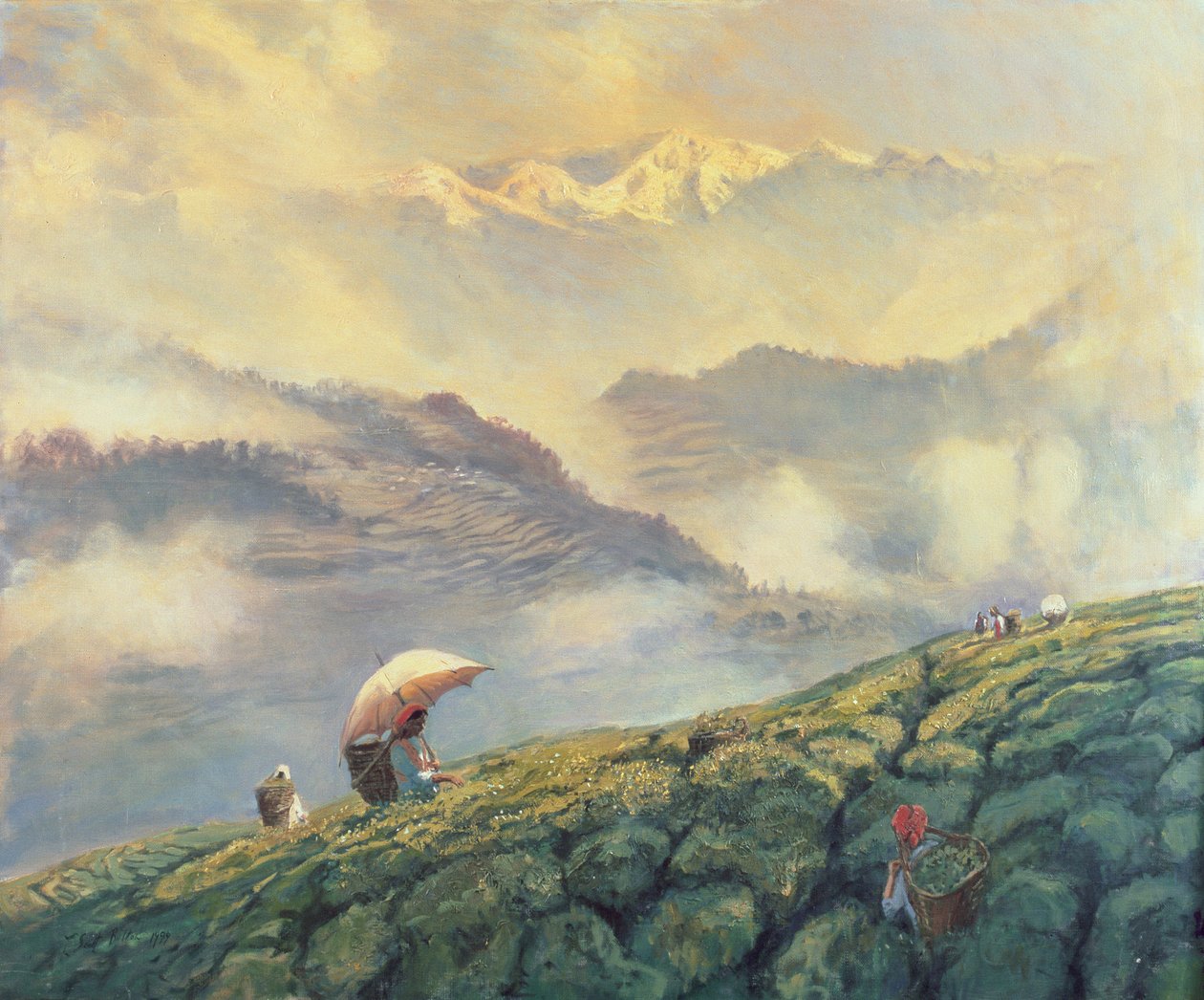 Teplockning, Darjeeling, Indien, 1999 av Tim Scott Bolton