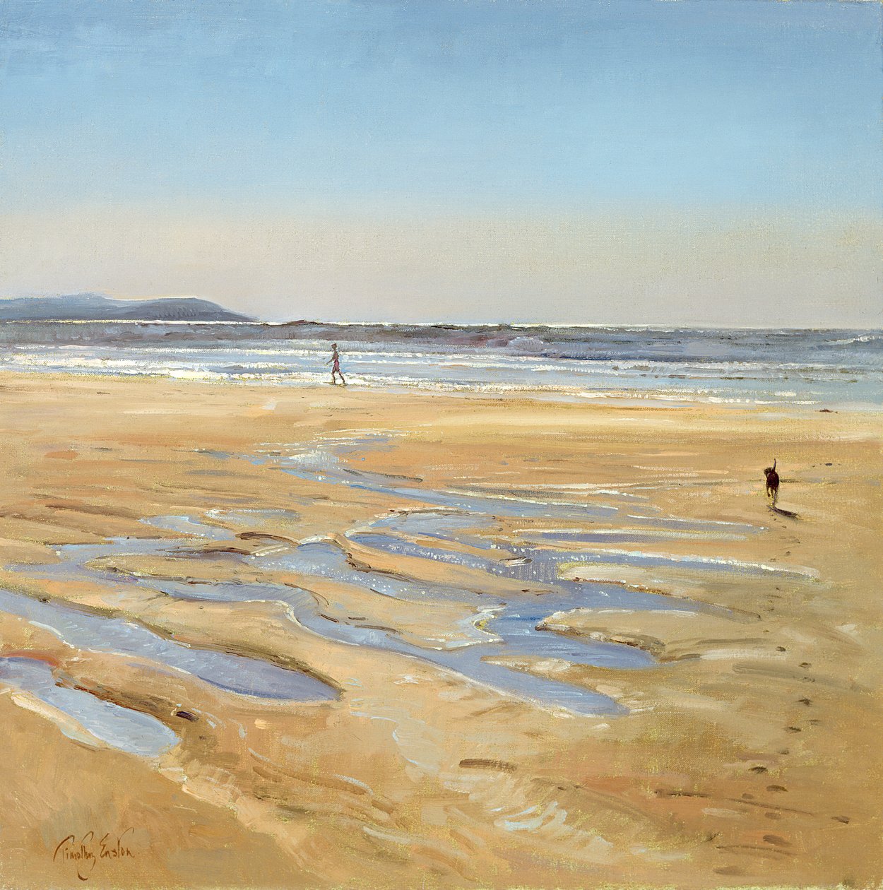 Strandvagnar av Timothy Easton