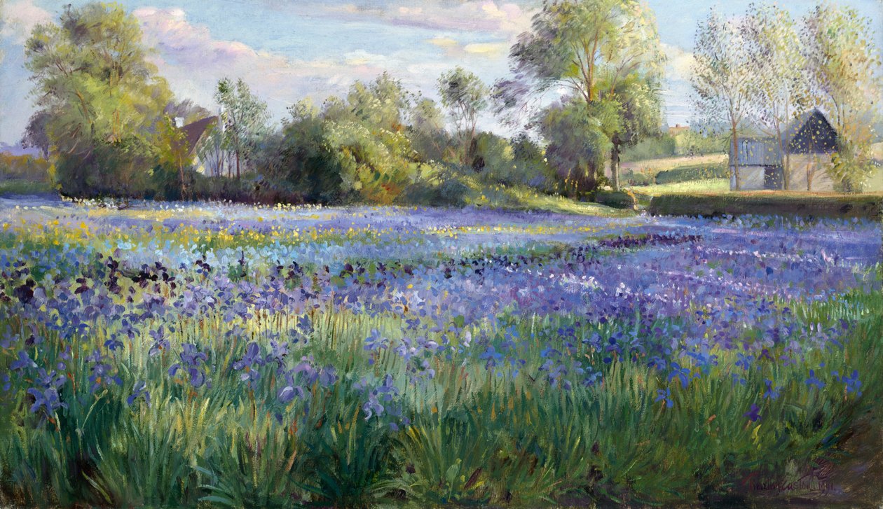 Dappled Light on the Iris Field, 1991 av Timothy Easton