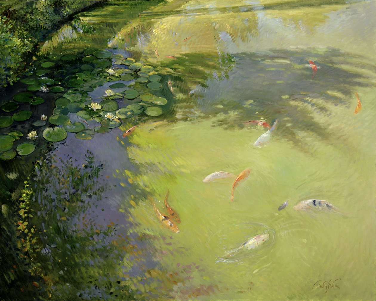 Fjäderspel av Timothy Easton