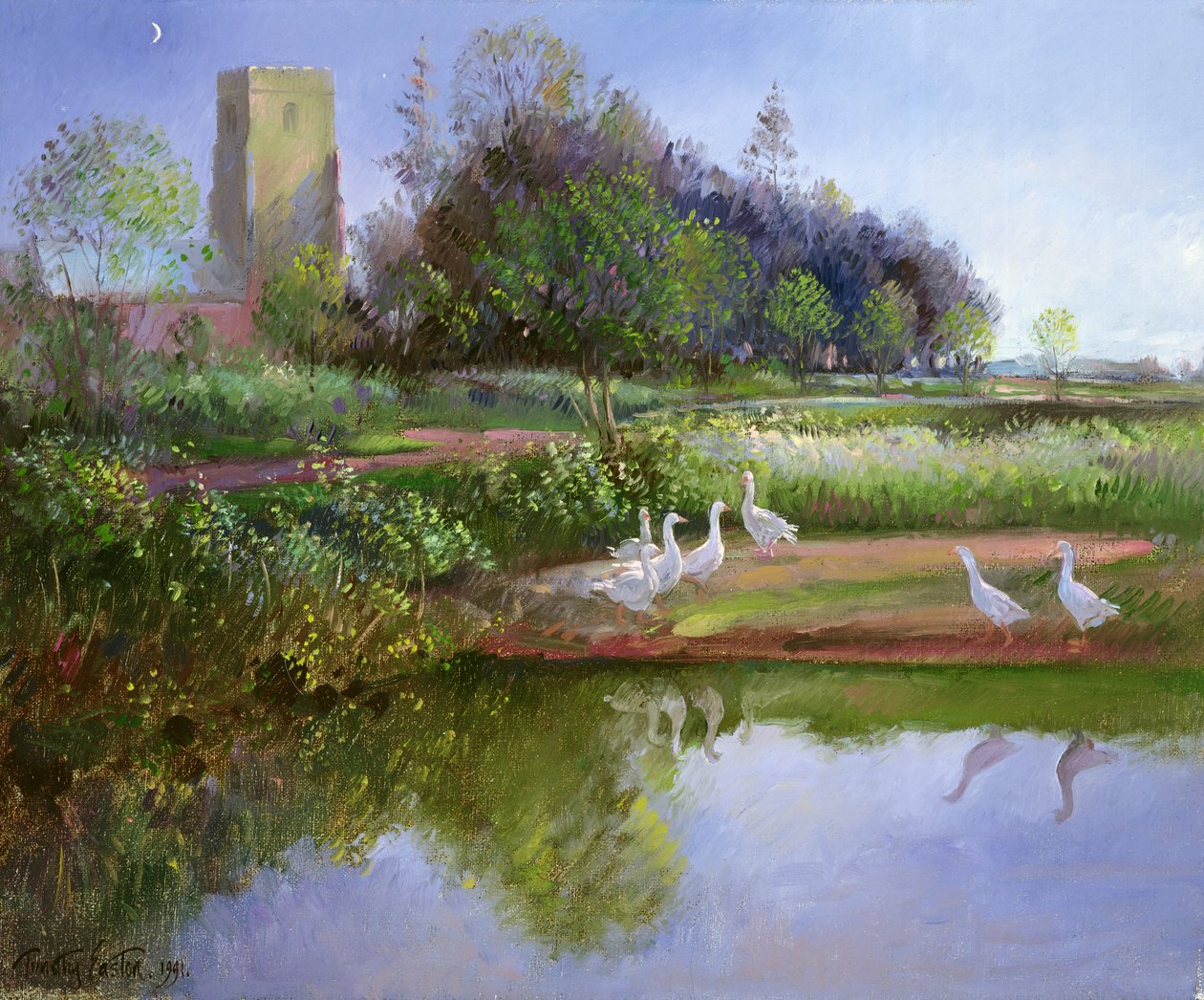 Gäss vid solnedgången, 1991 av Timothy Easton