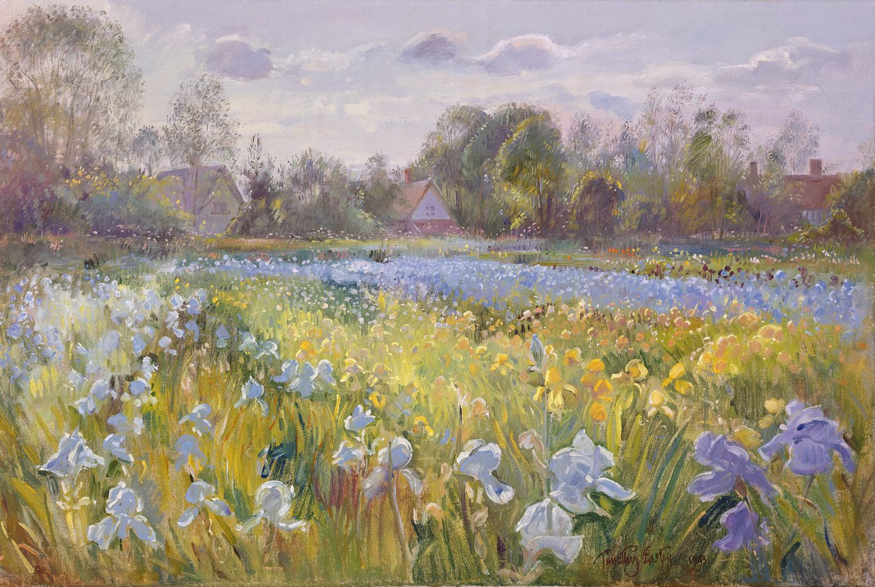 Iris Field i kvällsljuset, 1993 av Timothy Easton