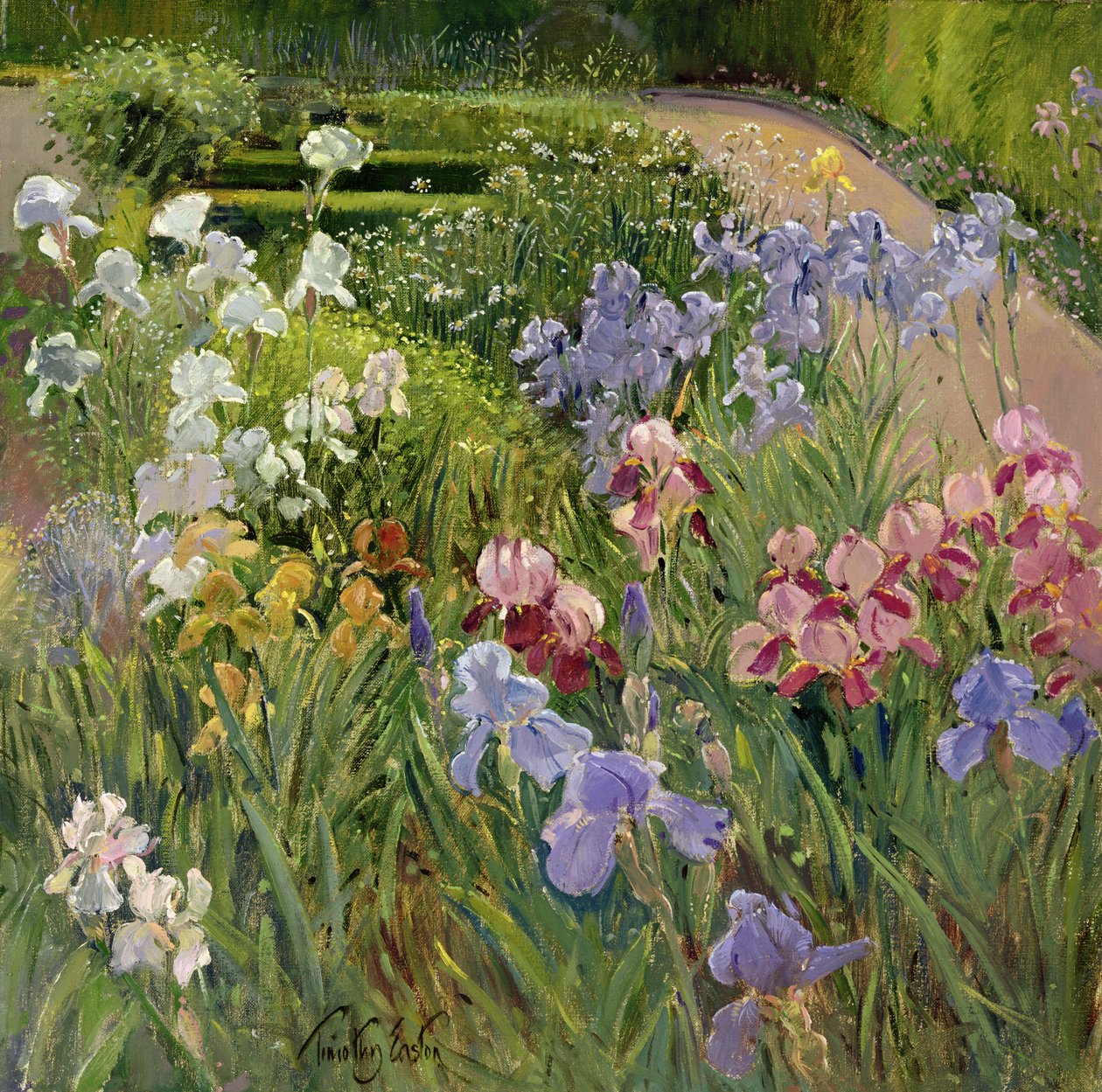 Iris i Bedfield av Timothy Easton