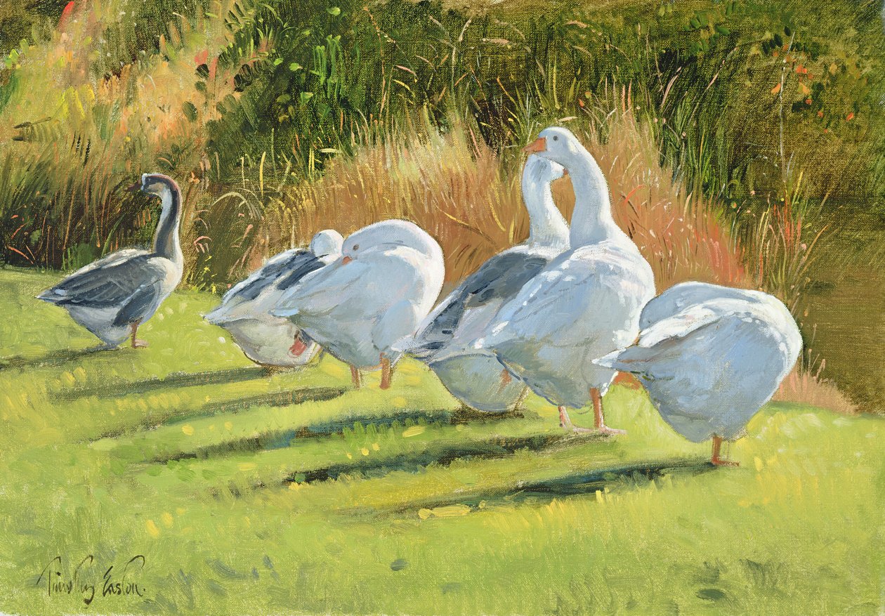 Moat Edge, Bedfield av Timothy Easton