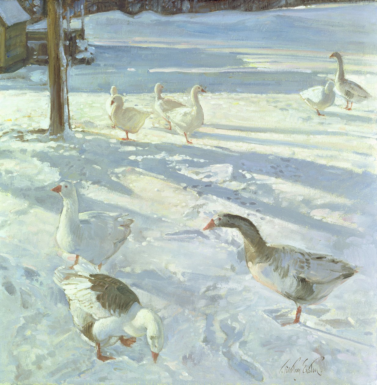 Snowfeeders, 1999 av Timothy Easton
