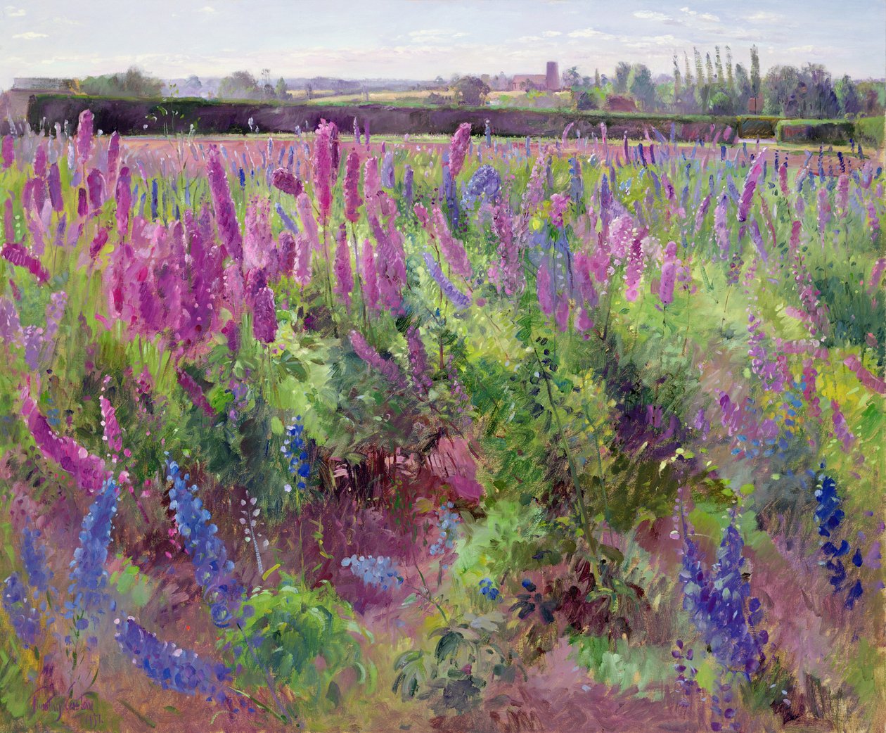 Delphiniumfältet, 1991 av Timothy Easton