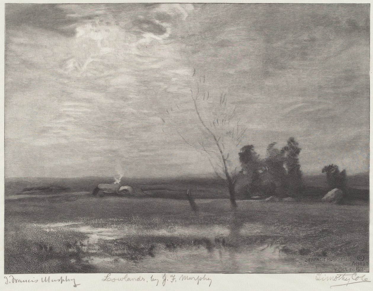Låglandet av Timothy Cole after John Francis Murphy