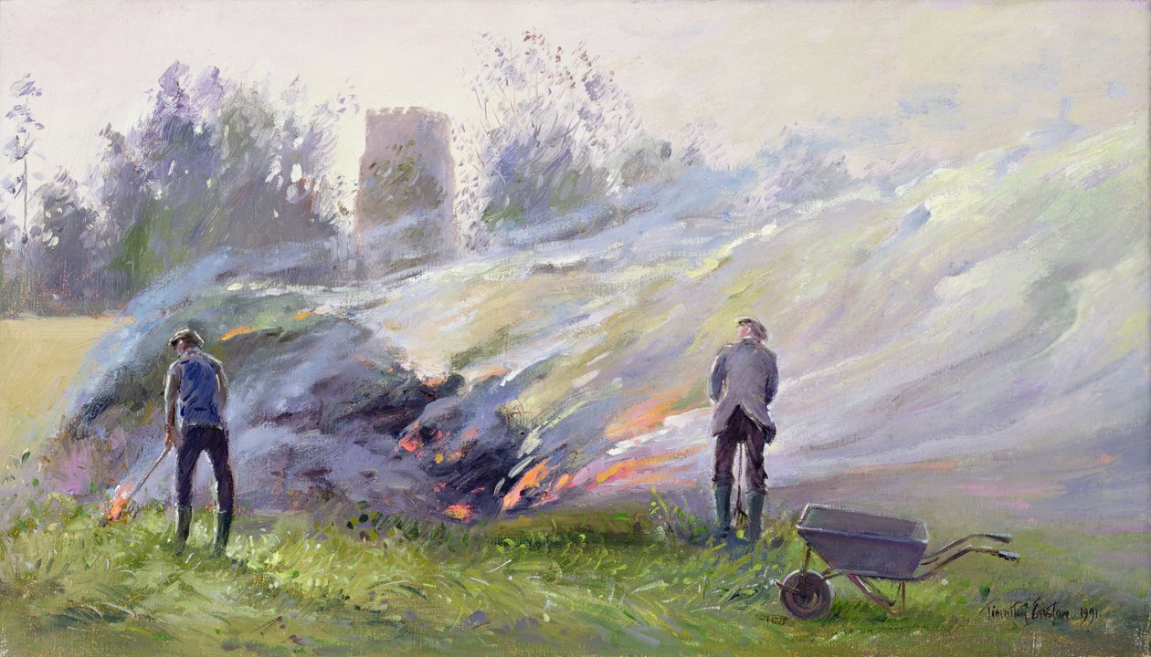 Höstbrasa av Timothy Easton
