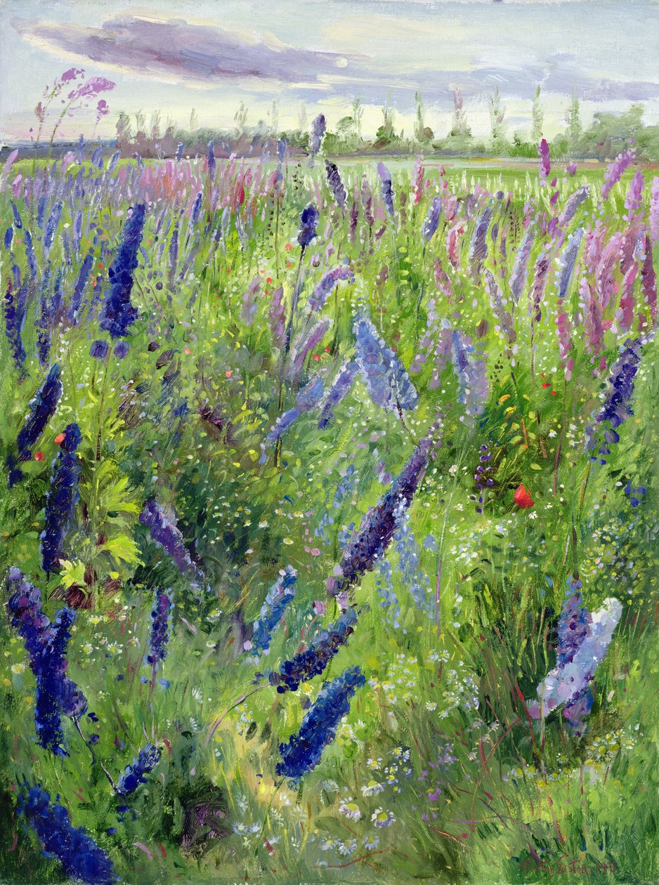 Delphiniums og Emerging Sunswed av Timothy Easton